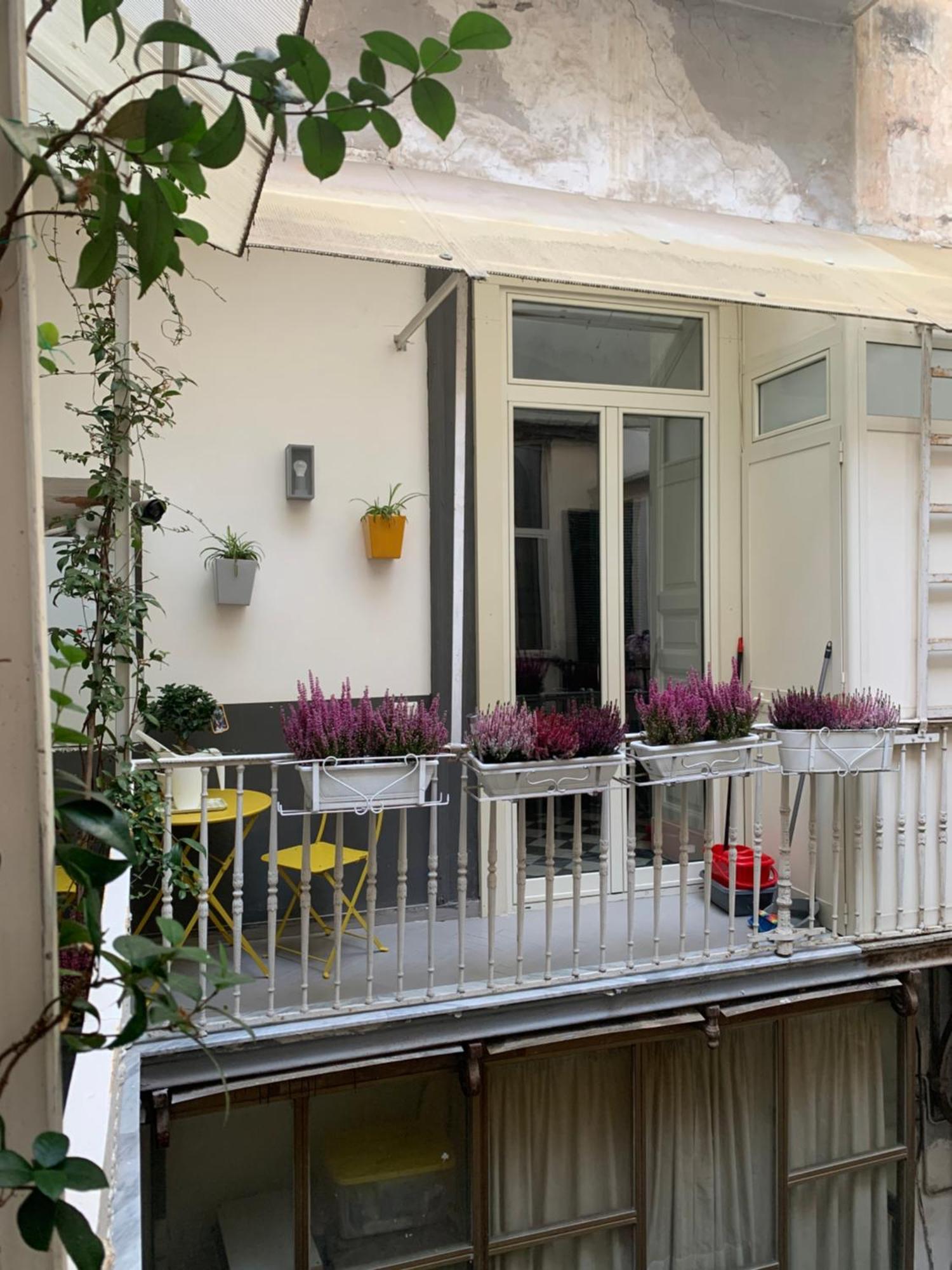 Casa Orlanda Daire Napoli Dış mekan fotoğraf