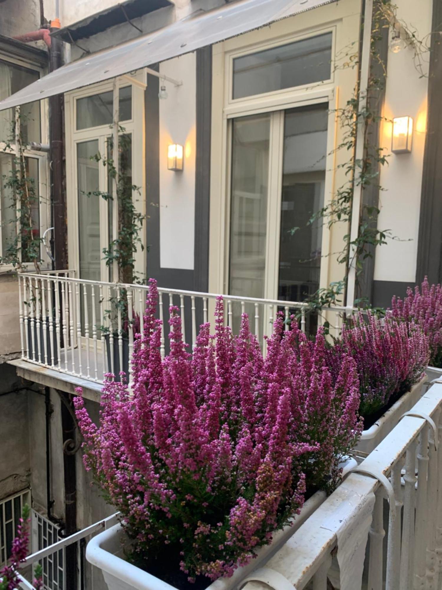 Casa Orlanda Daire Napoli Dış mekan fotoğraf