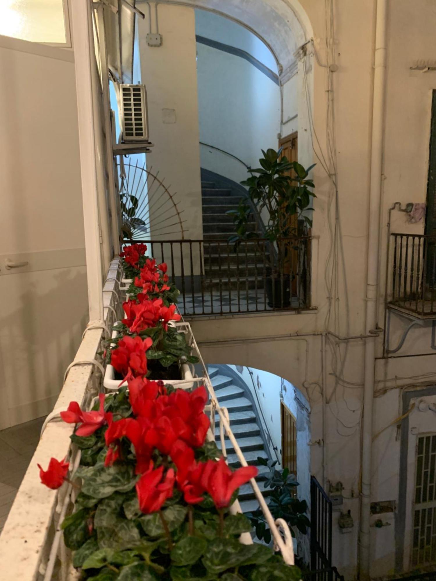 Casa Orlanda Daire Napoli Dış mekan fotoğraf